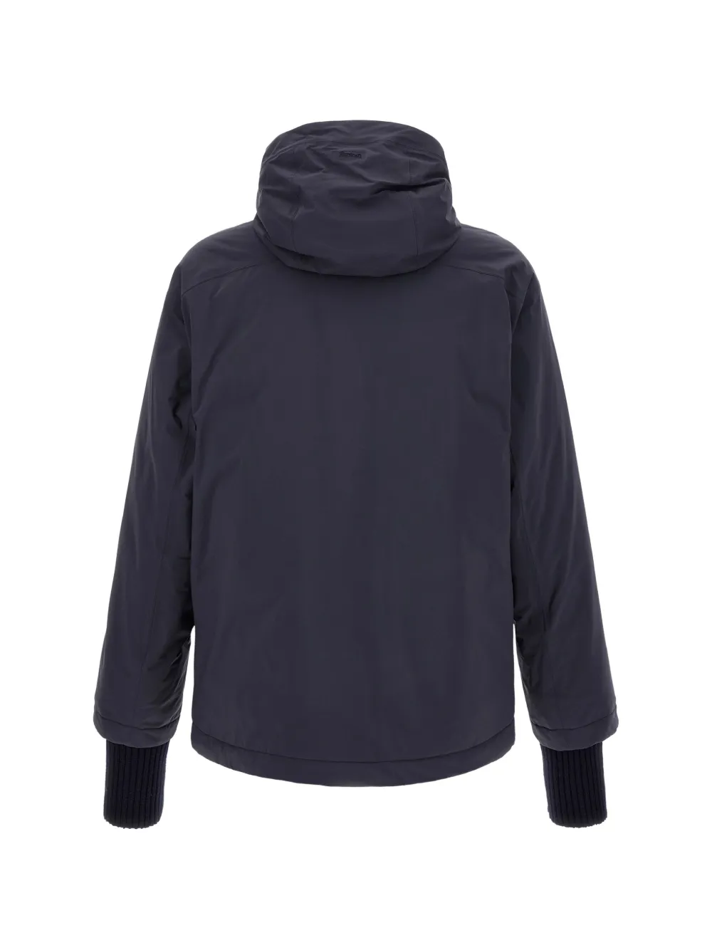 Laminar Gore-Tex hooded jacket Blauw