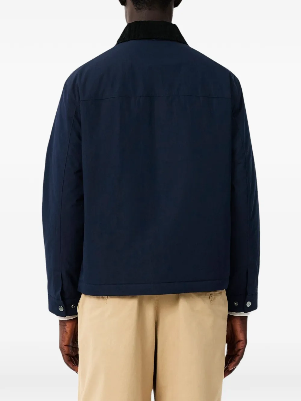Lacoste corduroy collar cotton jacket Blauw
