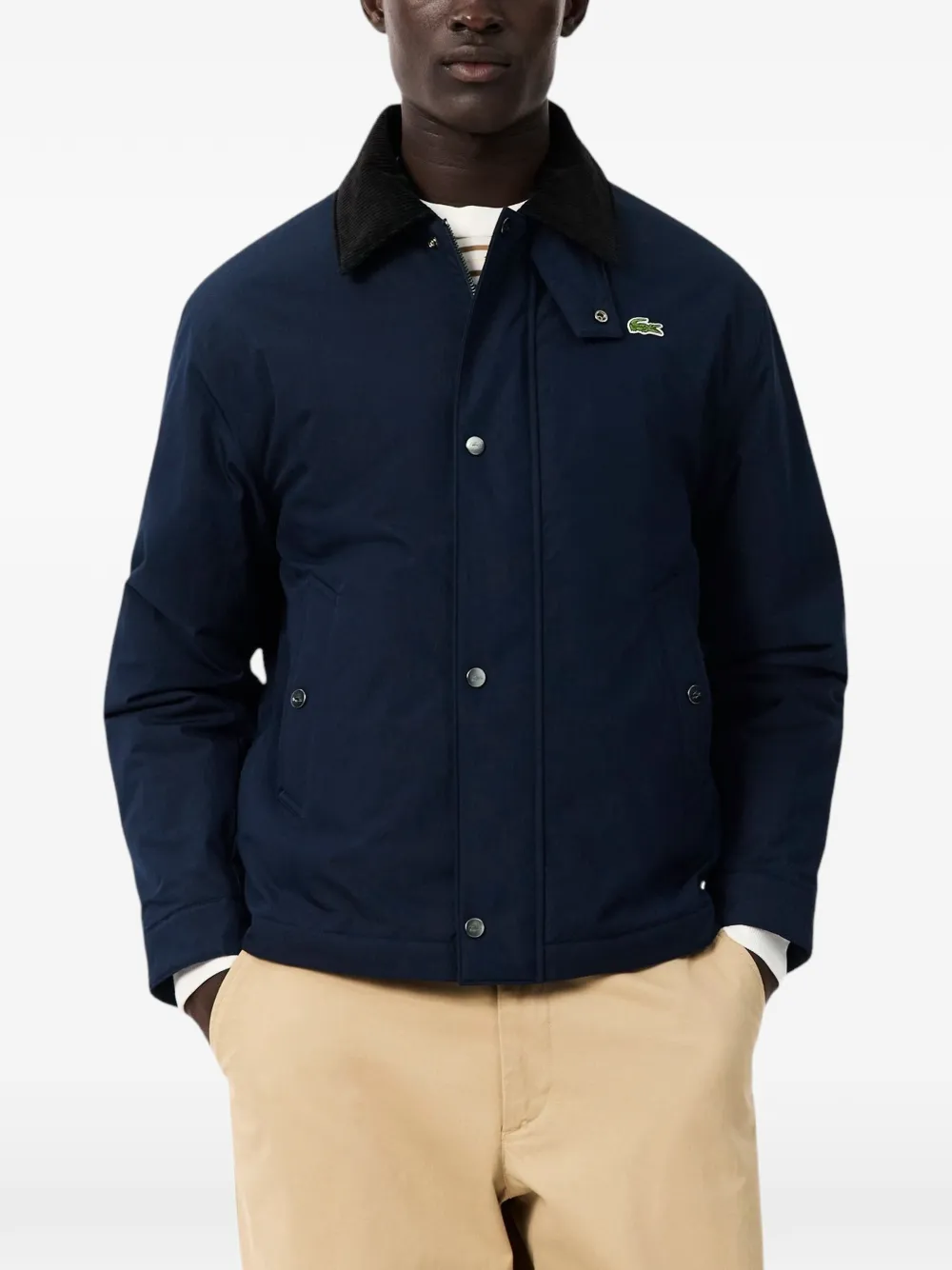 Lacoste corduroy collar cotton jacket Blauw