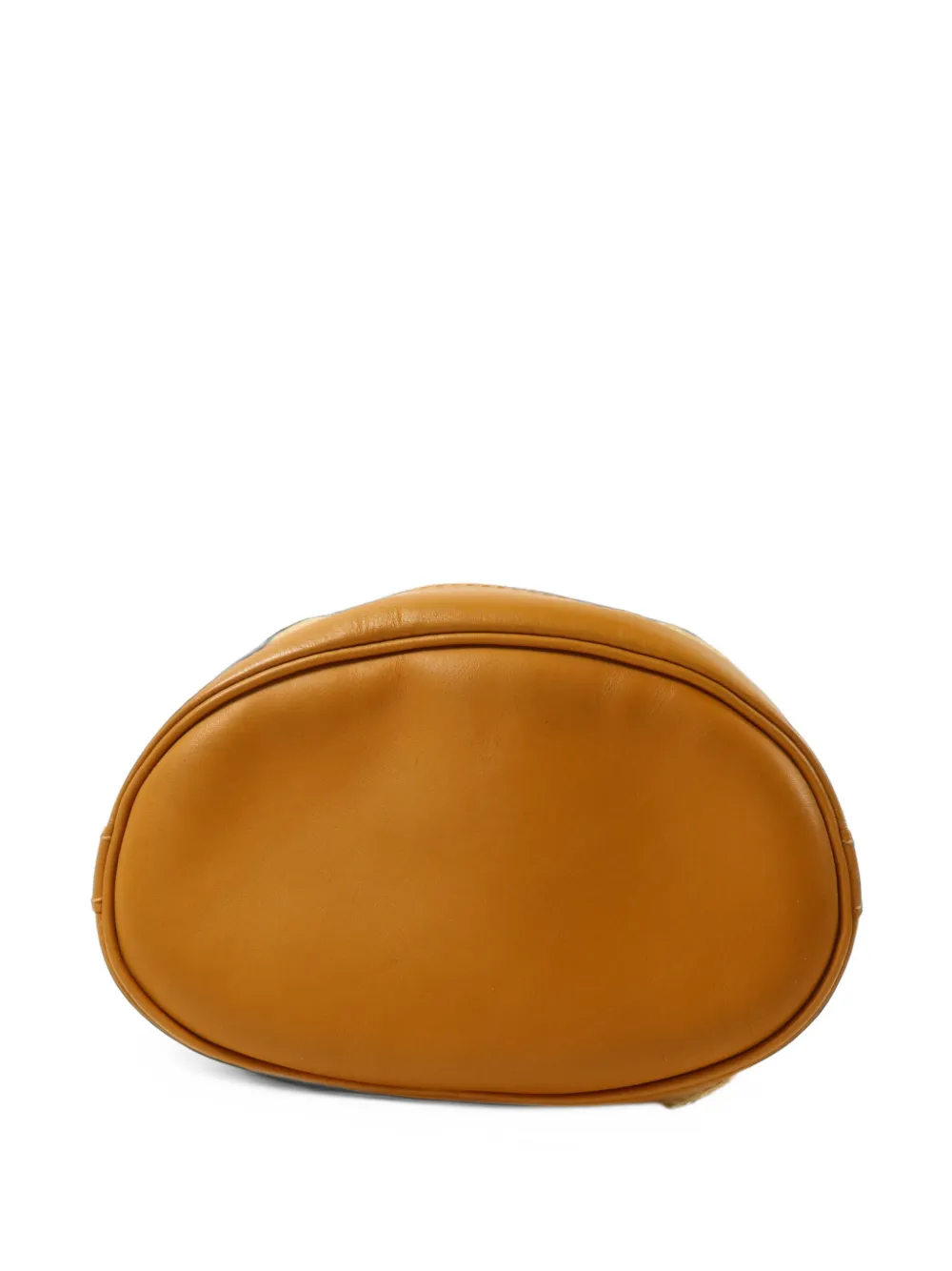 Louis Vuitton Pre-Owned mini Noelie Monogram bucket bag Beige