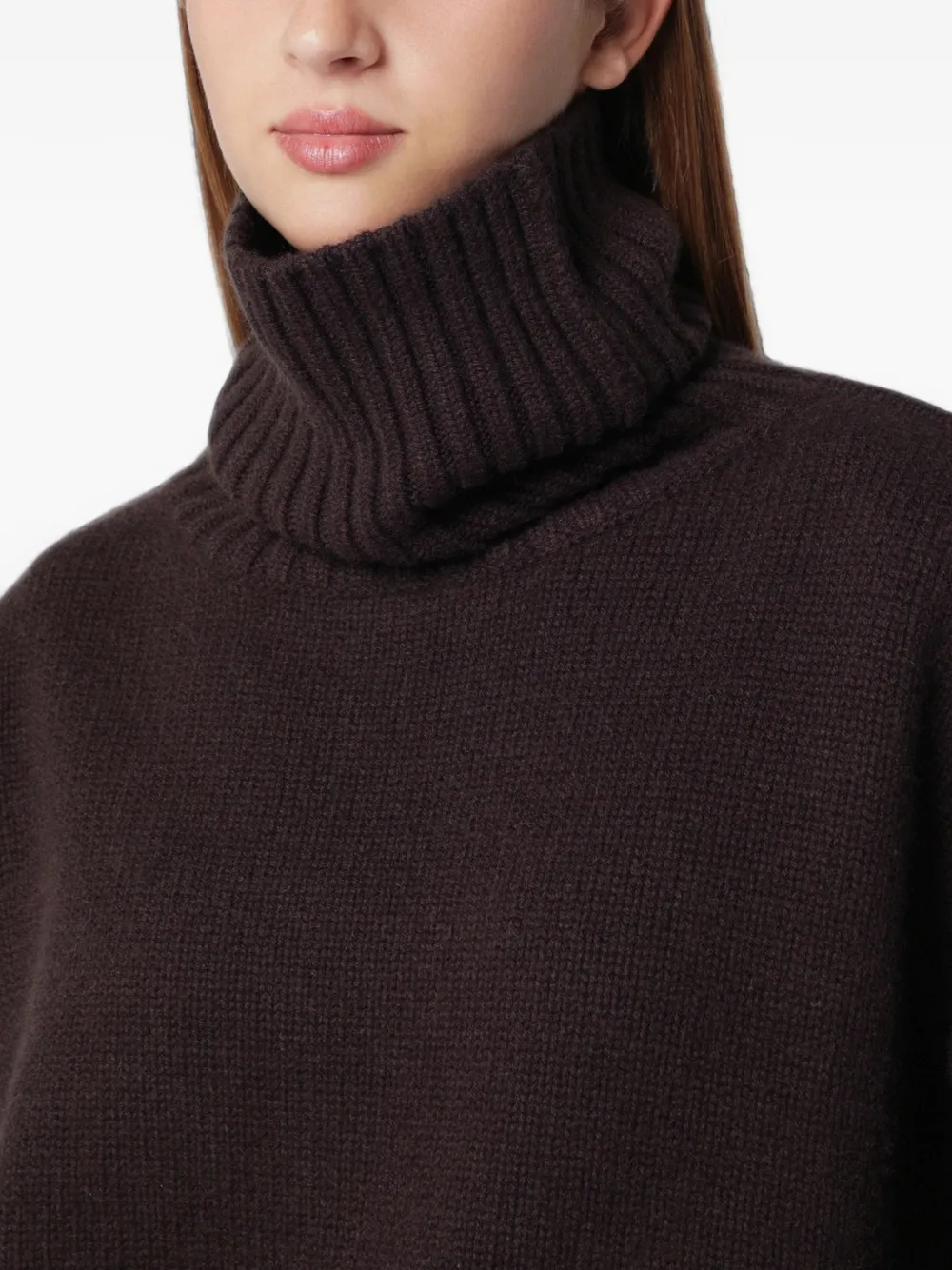 extreme cashmere turtleneck cashmere sweater Bruin