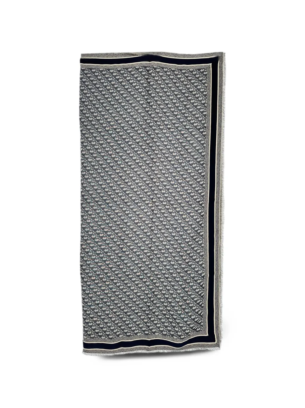 Christian Dior Pre-Owned 2010s Oblique monogram scarf - Blu