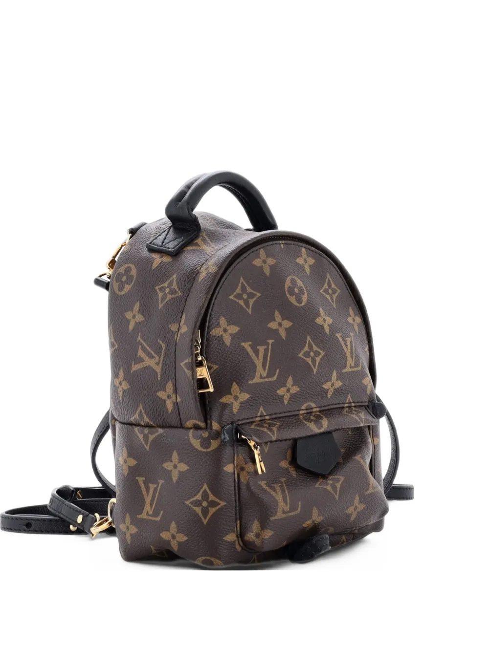 Louis Vuitton Pre-Owned Palm Springs Monogram Canvas Mini backpack - Braun