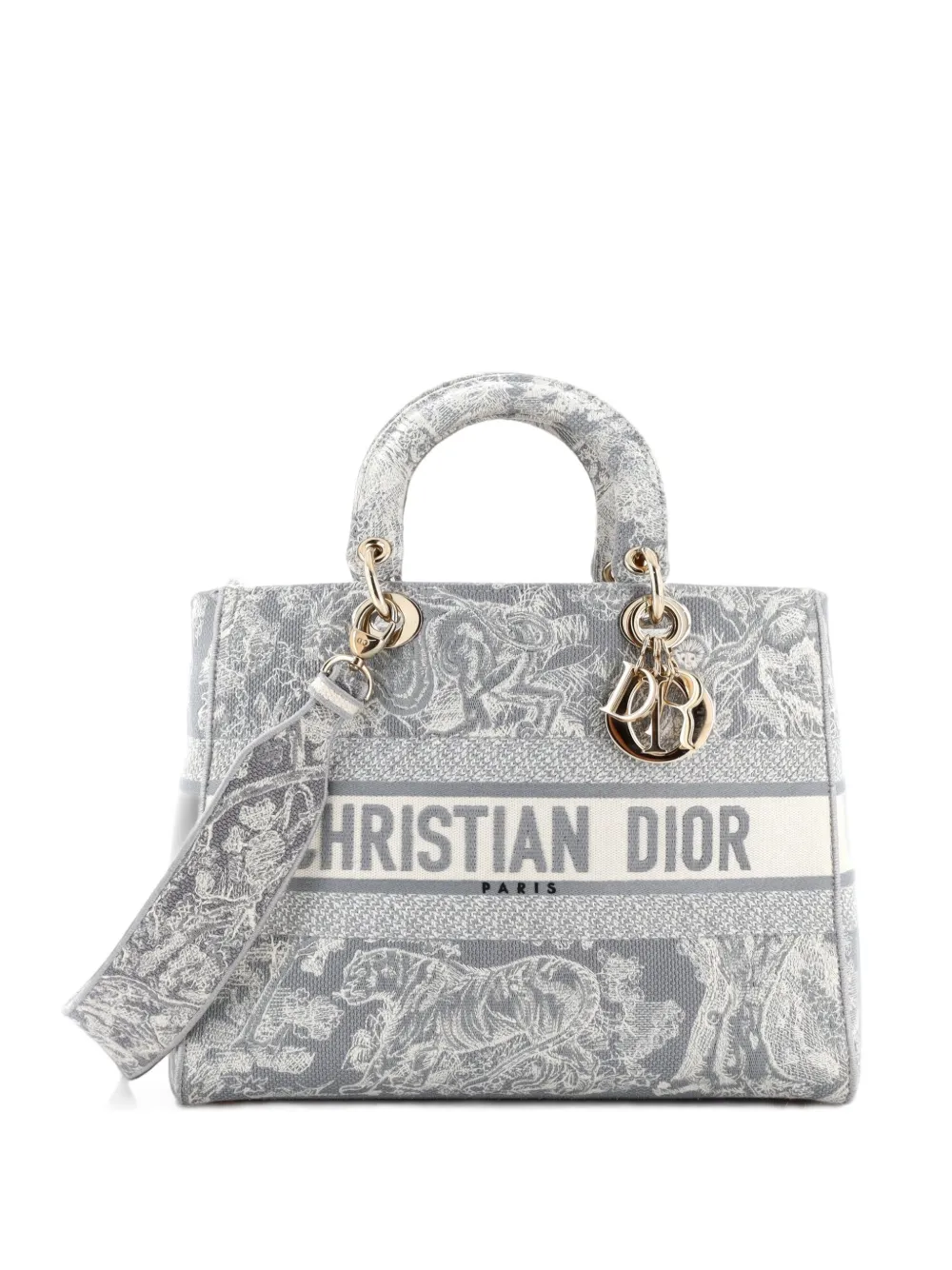 Christian Dior Pre-Owned Lady D-Lite Bag Embroidered Canvas Large tote bag - Grau
