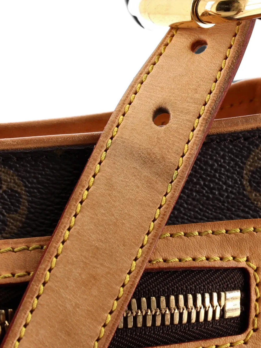 Louis Vuitton Pre-Owned Hudson Handbag Monogram Canvas GM shoulder bag - Marrone