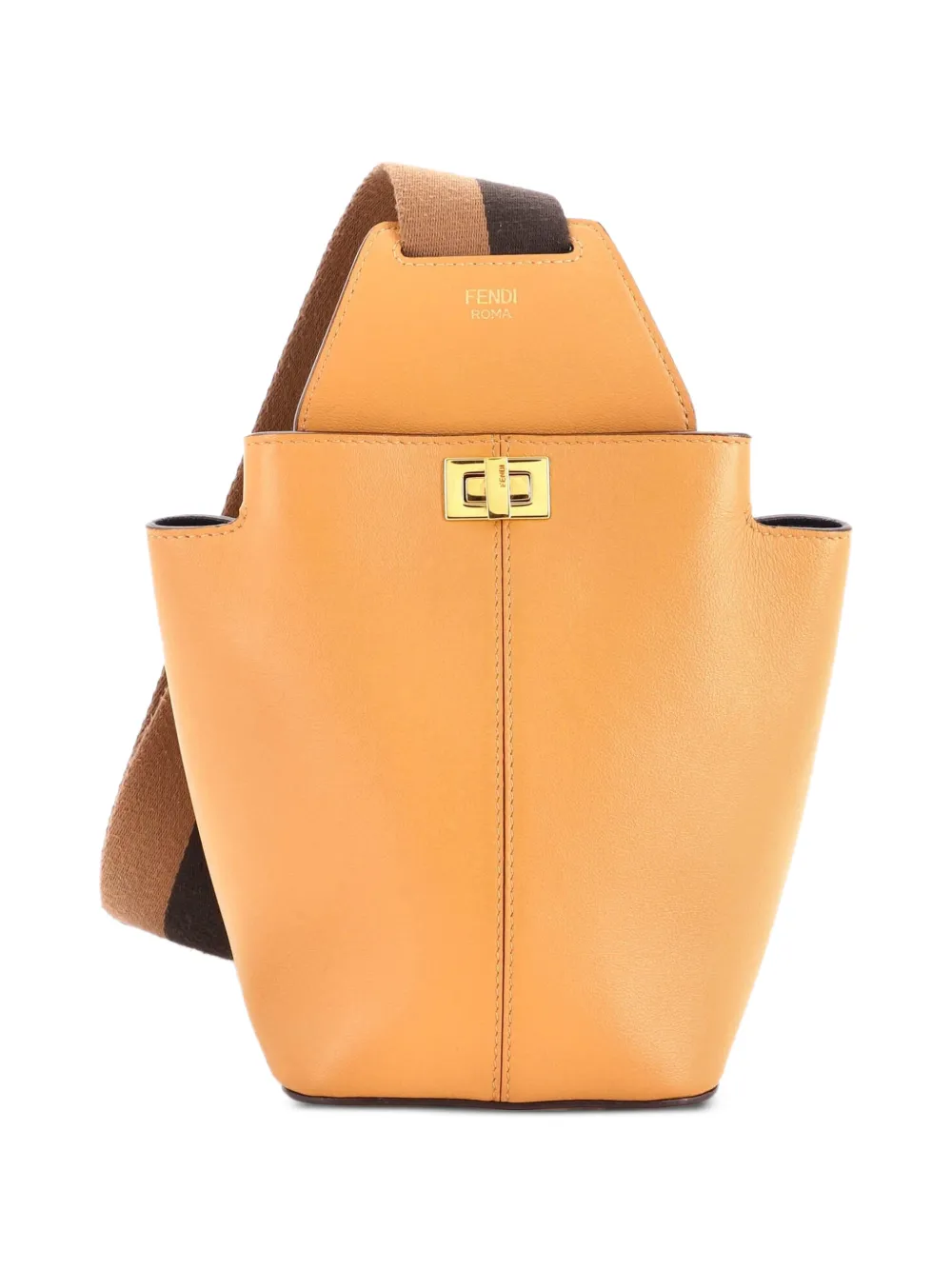 Fendi Pre-Owned Guitar Bag Leather Mini crossbody bag - Brown