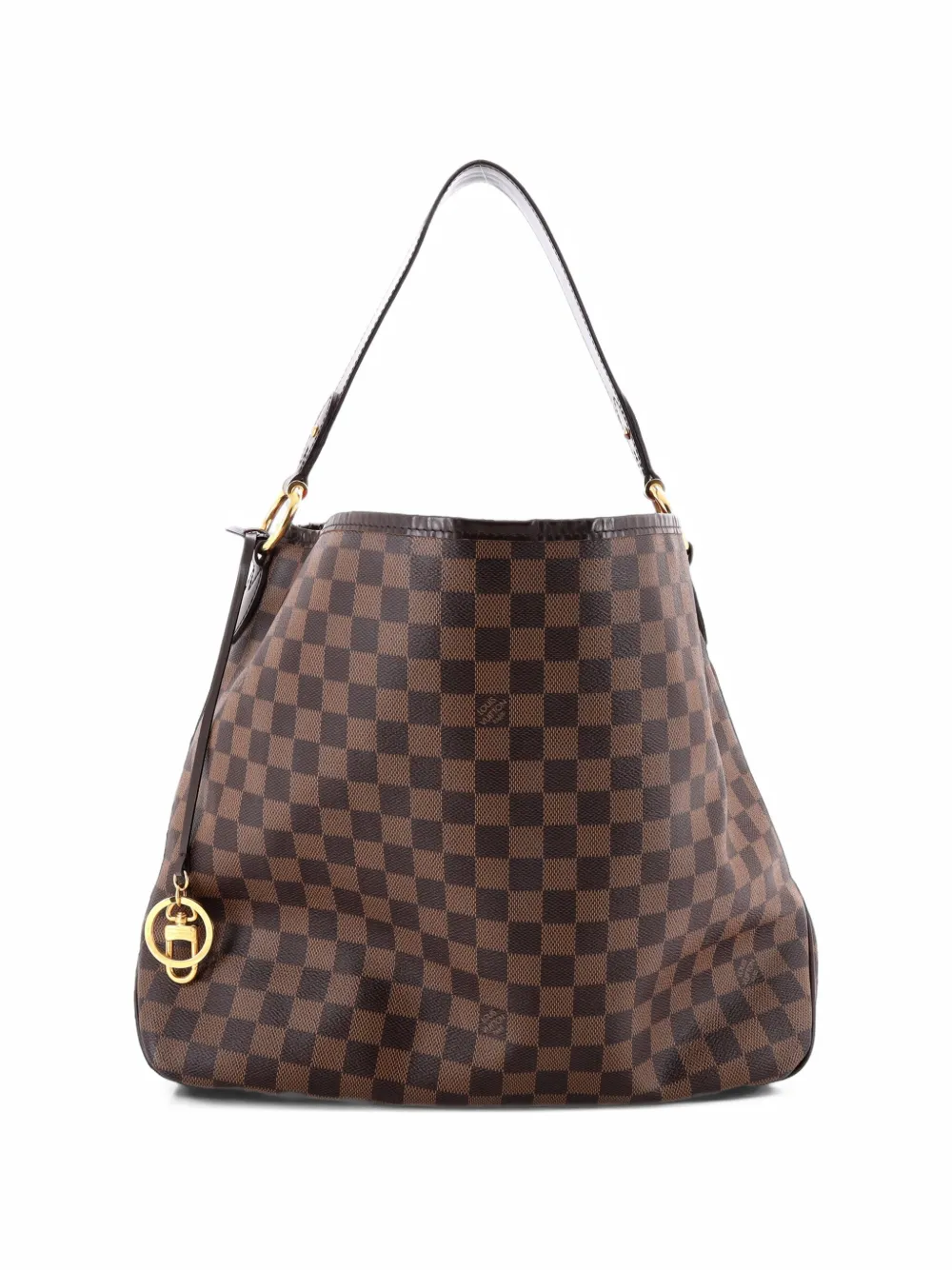 Louis Vuitton Pre-Owned Delightful NM Handbag Damier PM hobo bag - Brown