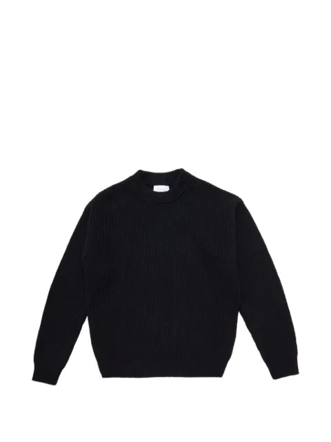 Diana Studio ribbed-knit crew-neck sweater