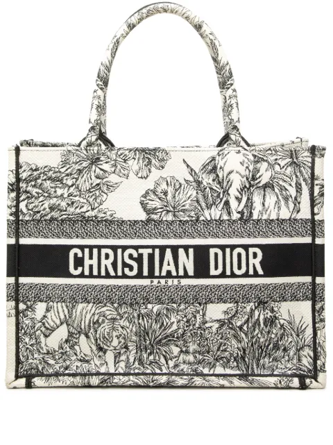 Christian Dior Pre-Owned 2023 Medium Embroidered Canvas Toile De Jouy Book tote bag