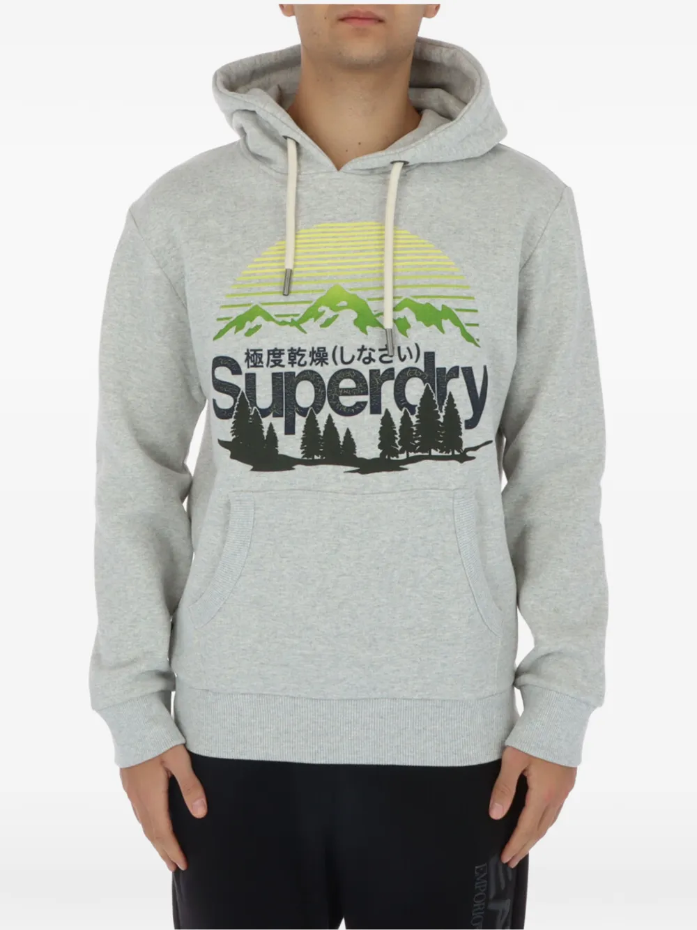 Superdry mountain-graphic hoodie Grijs