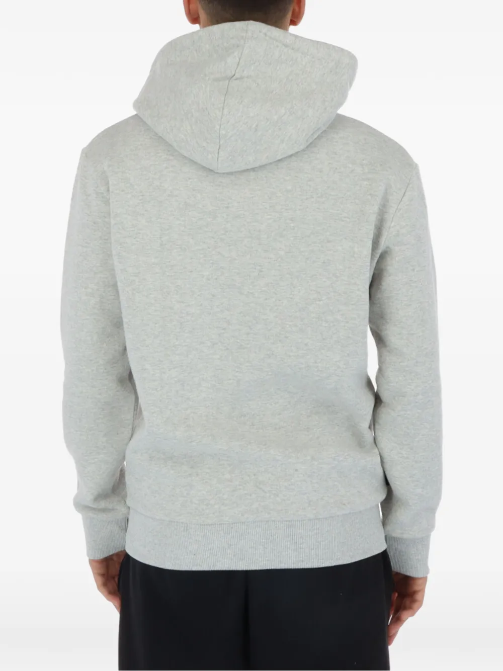 Superdry mountain-graphic hoodie Grijs