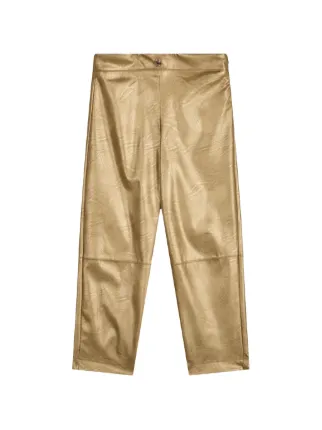 Roberto Cavalli Junior