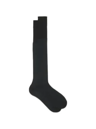 Bresciani