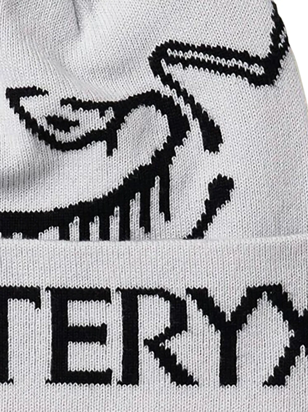 Arc'teryx Bird Word Toque muts Wit
