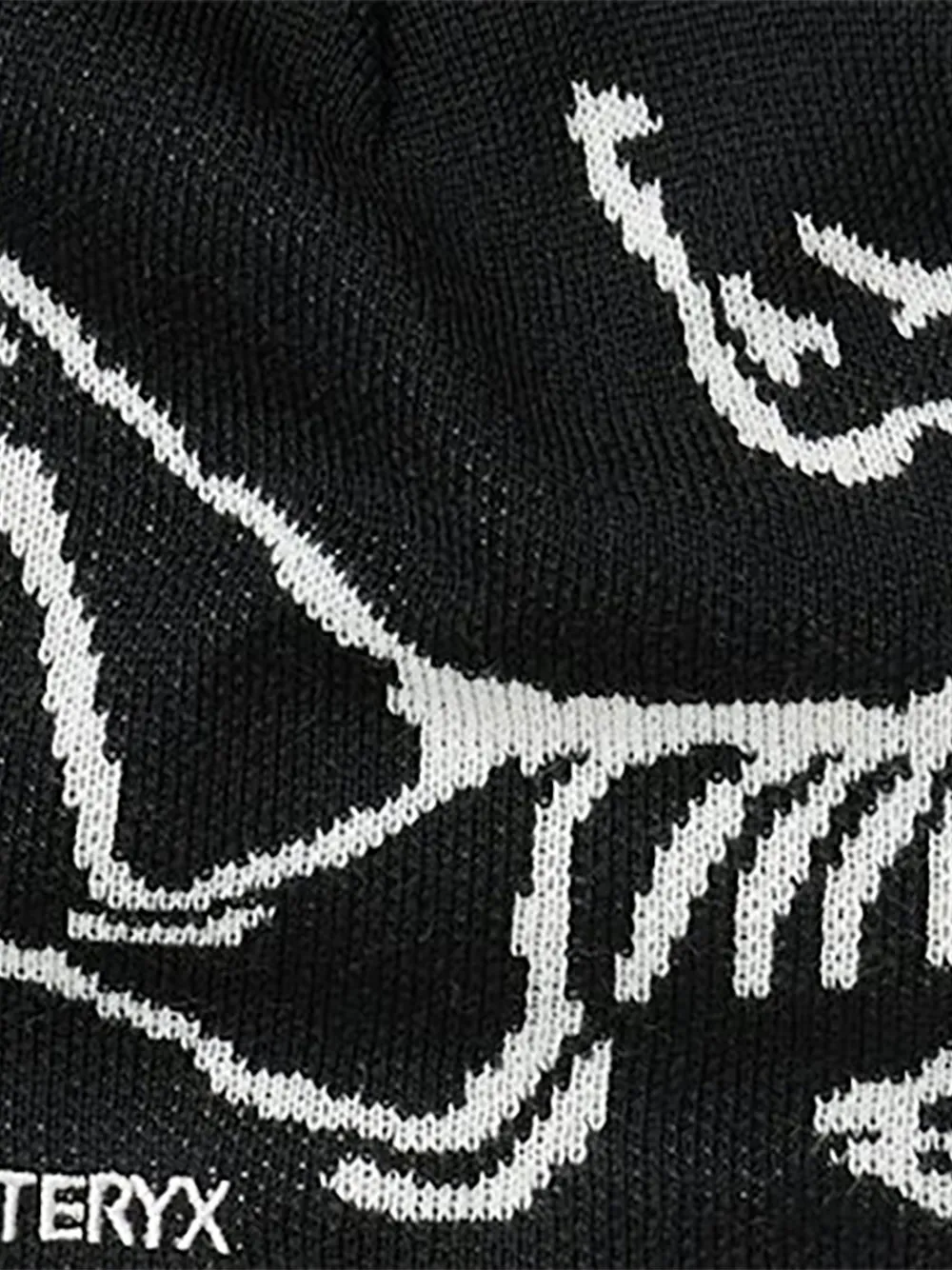 Arc'teryx Bird Head muts Zwart