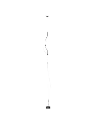 Flos
