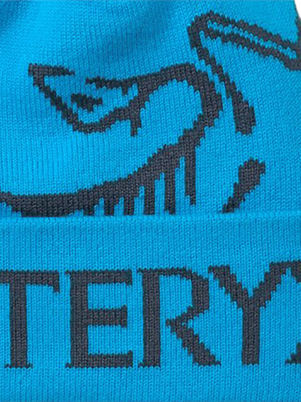 Arc'teryx Bird Word muts Blauw