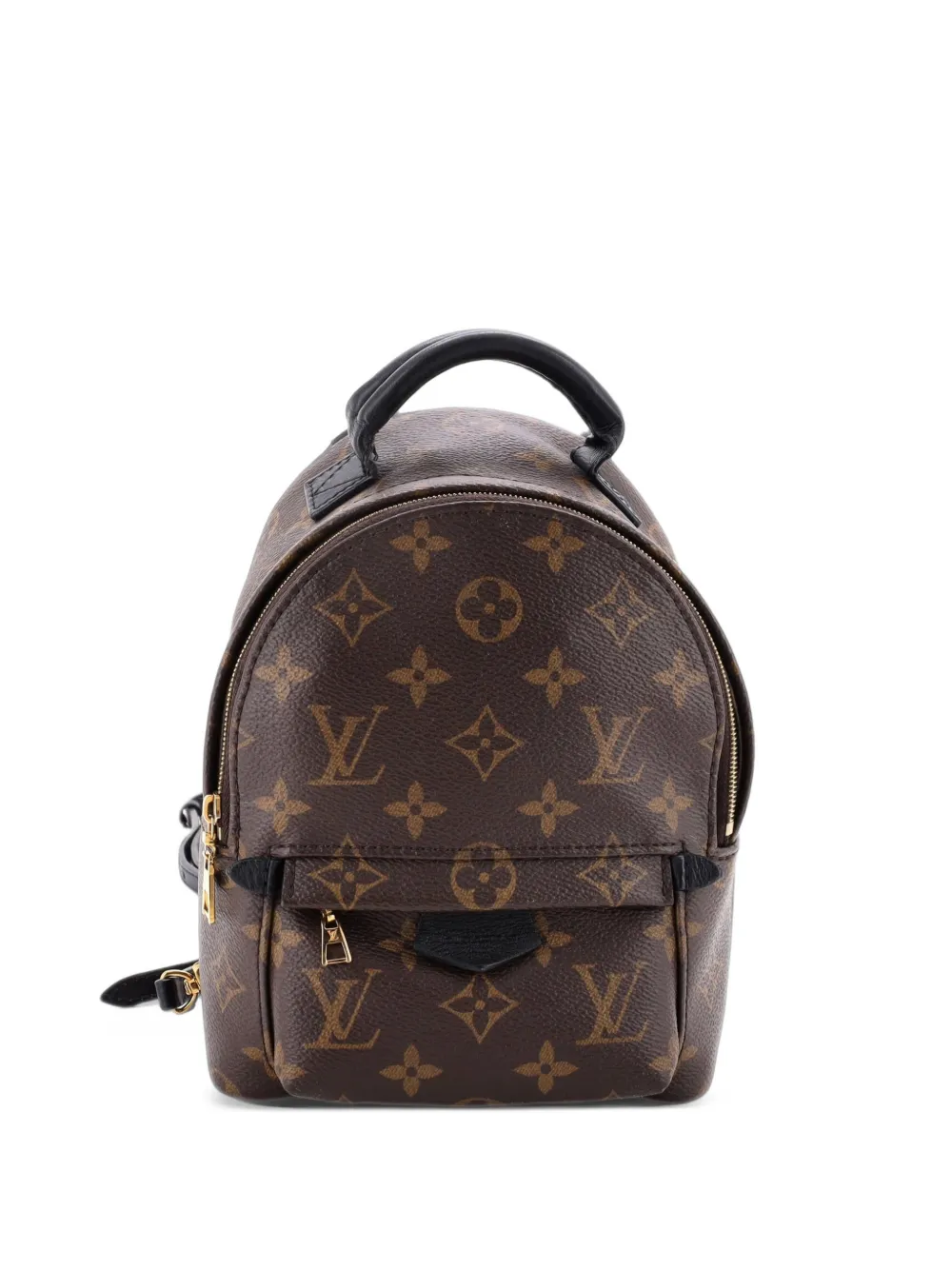 Louis Vuitton Pre-Owned Palm Springs Monogram Canvas Mini backpack - Brown