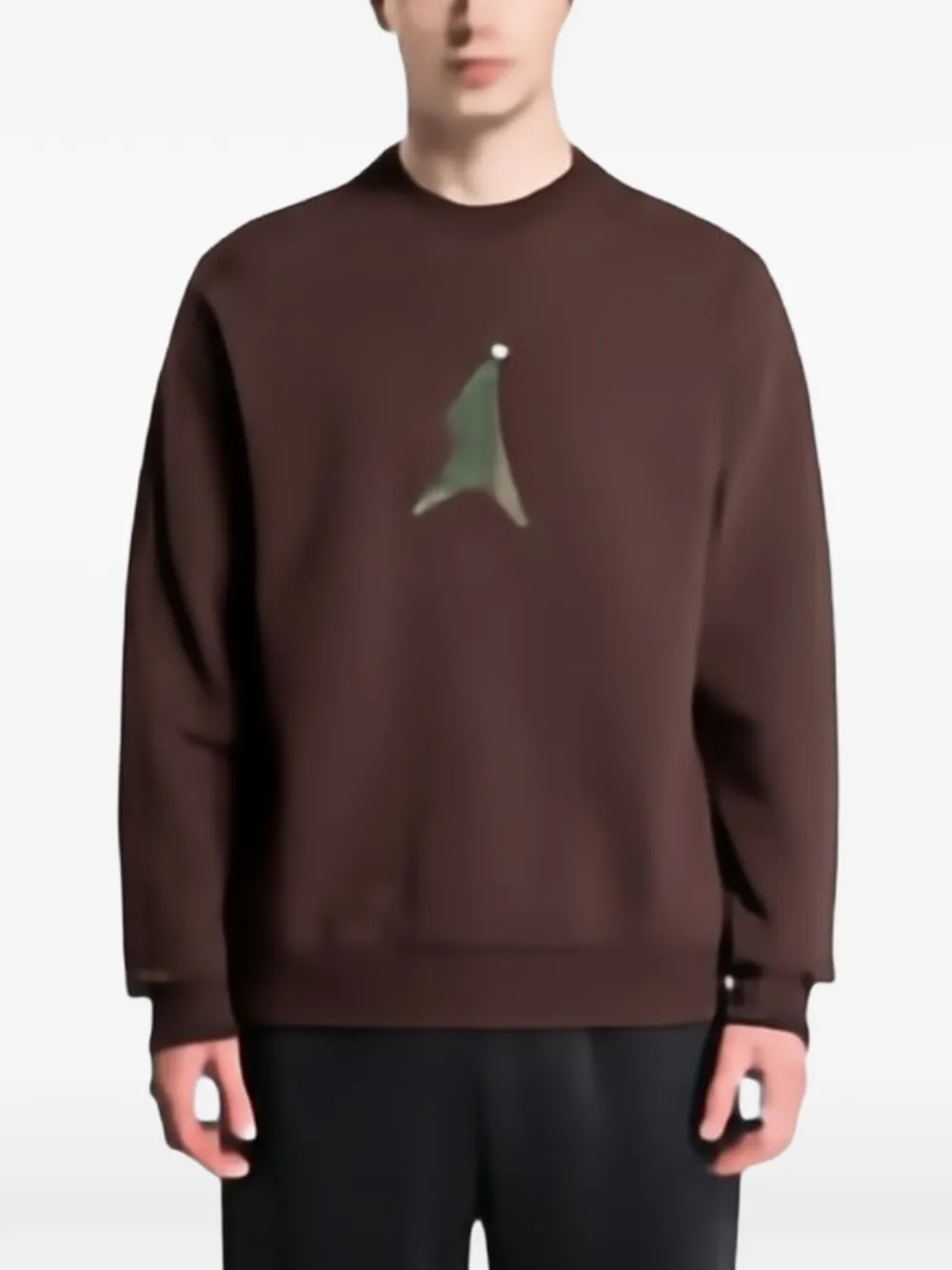 Ea7 Emporio Armani graphic-print raglan-sleeve sweater - Marrone
