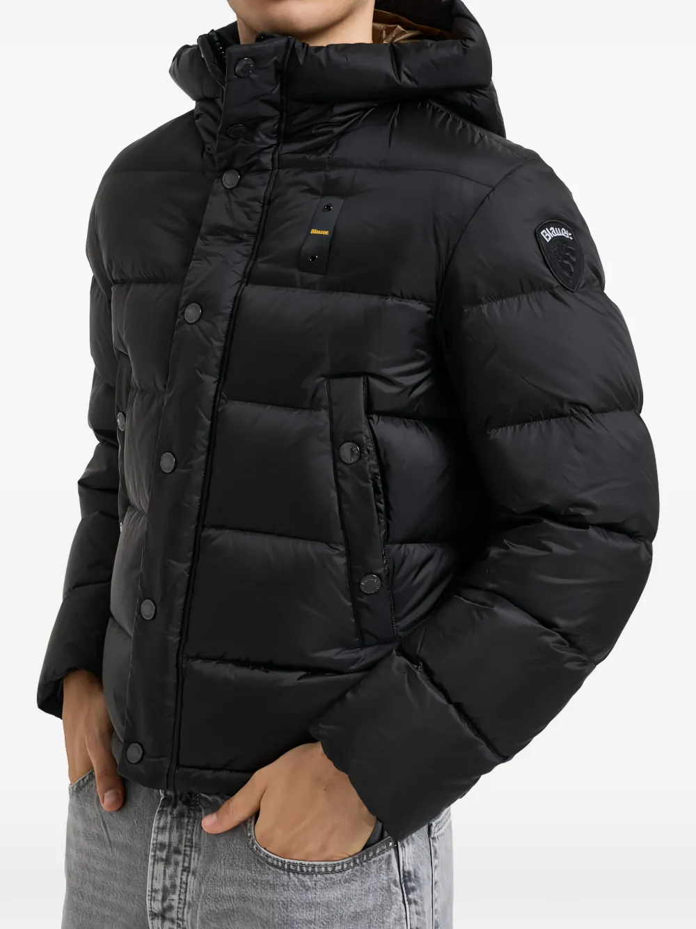Blauer Clipper padded jacket Zwart