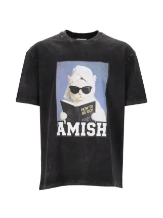 AMISH