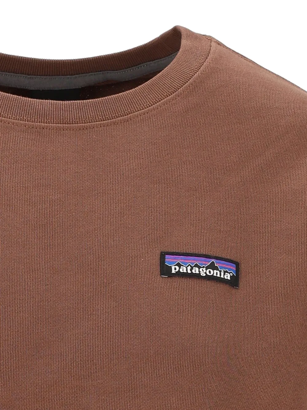 Patagonia Daily Crew logo-patch sweatshirt Bruin
