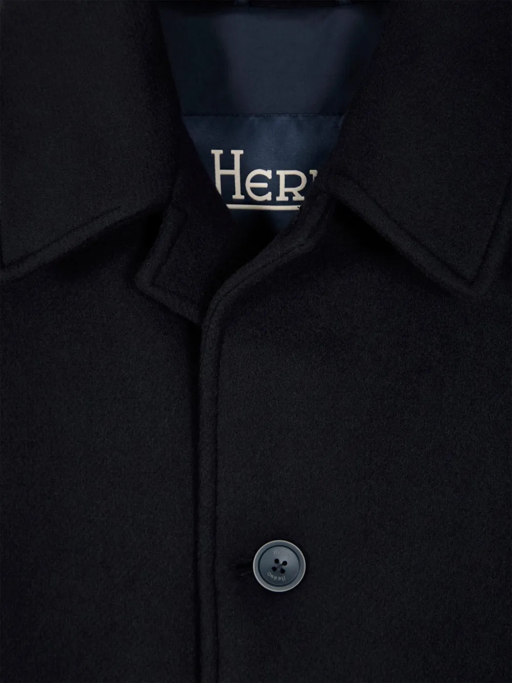 Herno button-fastening raglan-sleeve coat Blauw