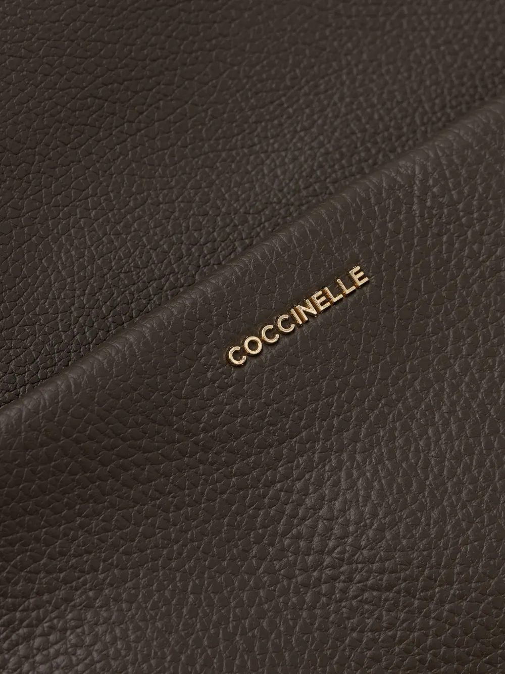 Coccinelle Nory leren rugzak met textuur Bruin