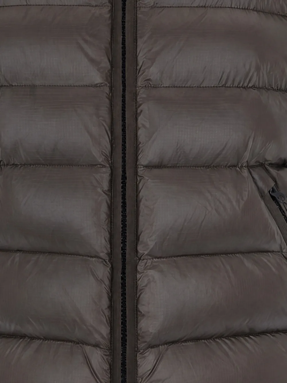 Blauer Adams hooded quilted jacket Bruin