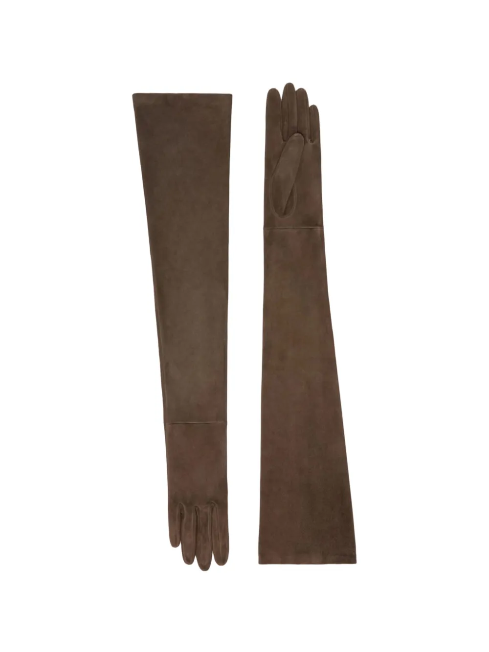 Max Mara long-length gloves Bruin