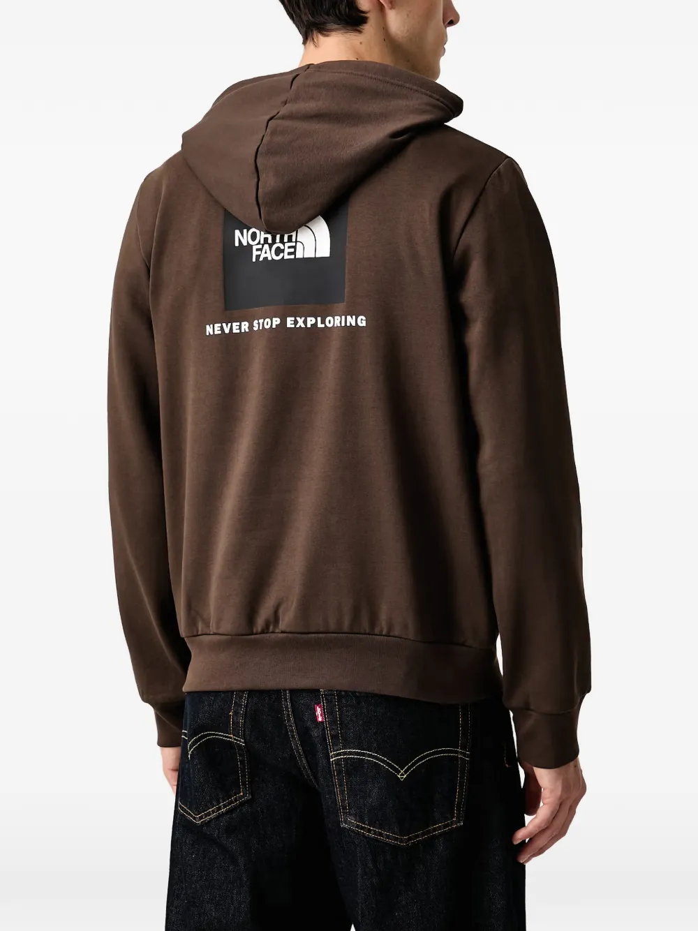 The North Face Evolution Box Nse regular hoodie Bruin