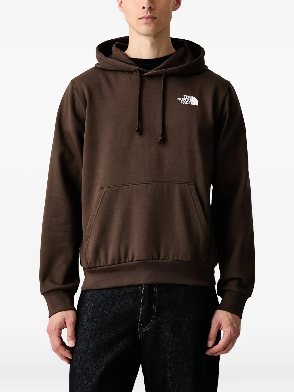 The North Face Evolution Box Nse regular hoodie - Marrone