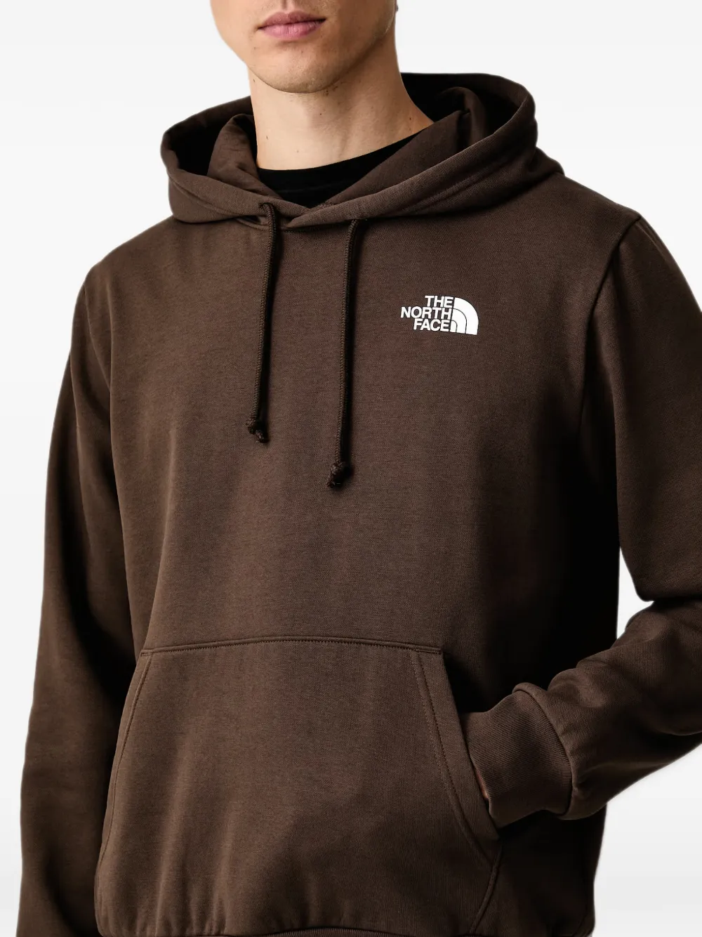 The North Face Evolution Box Nse regular hoodie Bruin