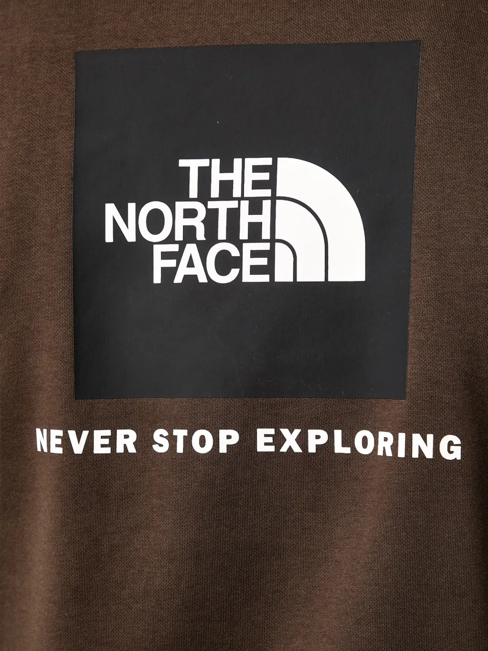 The North Face Evolution Box Nse regular hoodie Bruin