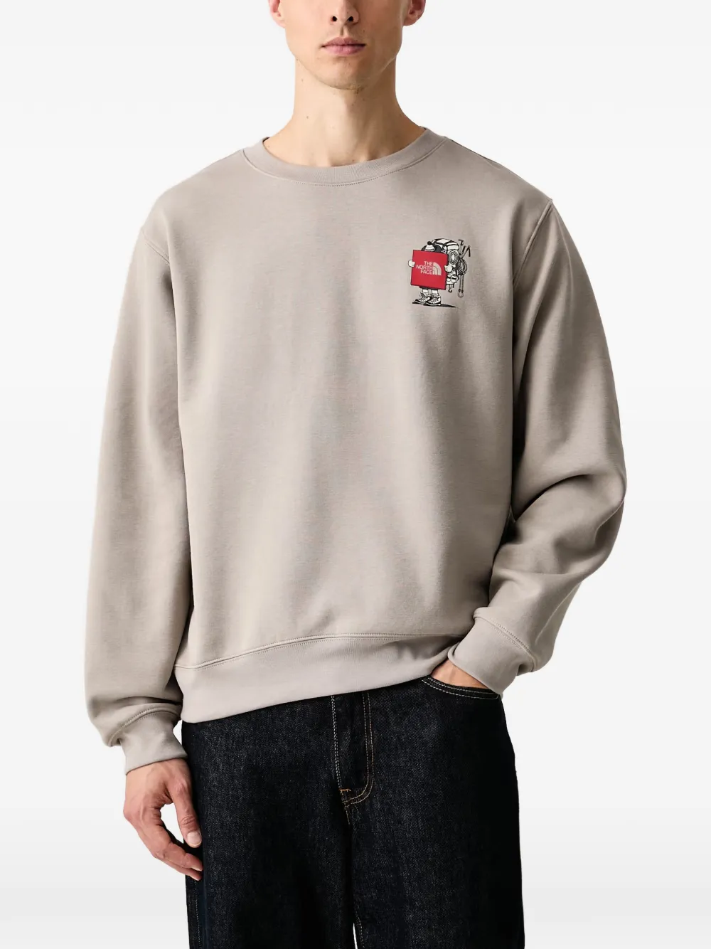 The North Face Gear Up Get Out Relaxed crew—graphic sweatshirt Beige