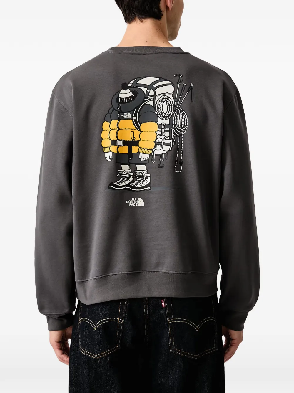 The North Face Gear Up Get Out Relaxed crew—graphic sweater Grijs