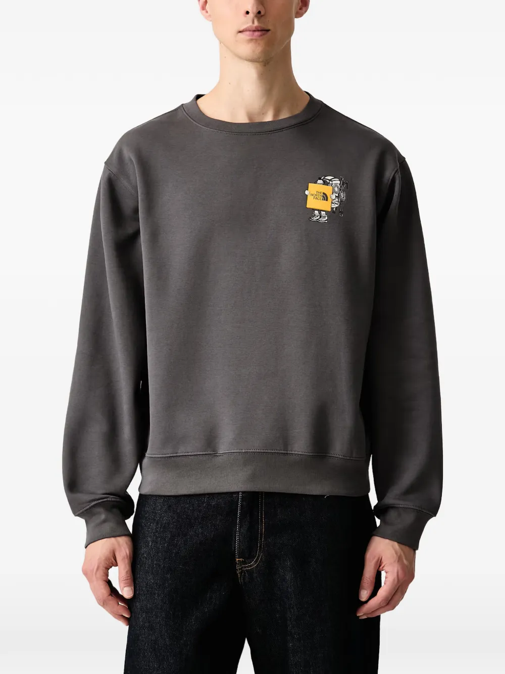 The North Face Gear Up Get Out Relaxed crew—graphic sweater - Grigio