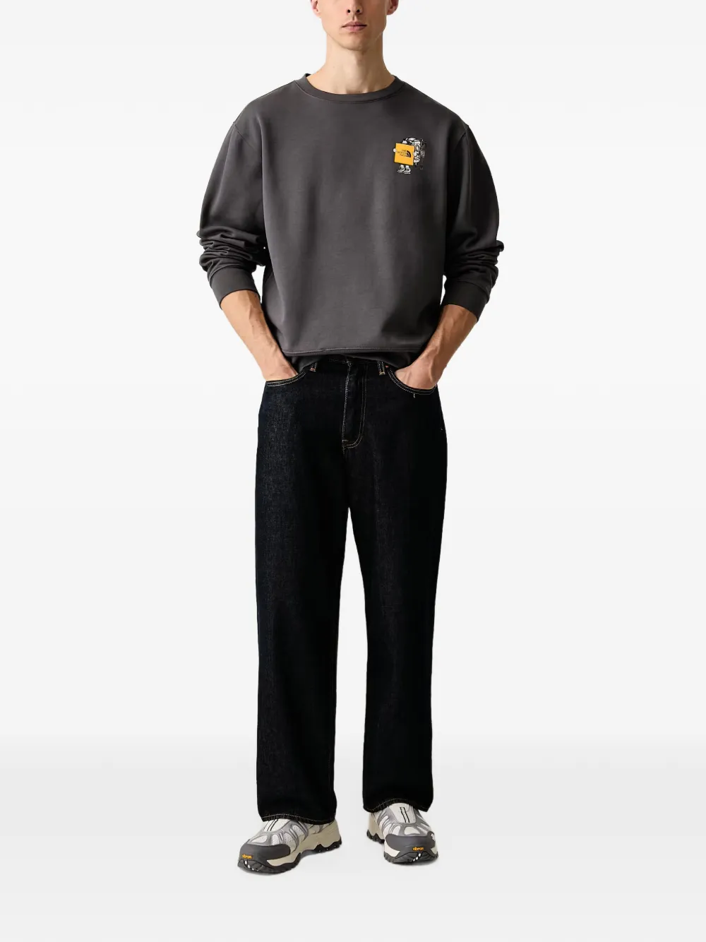 The North Face Gear Up Get Out Relaxed crew—graphic sweater Grijs