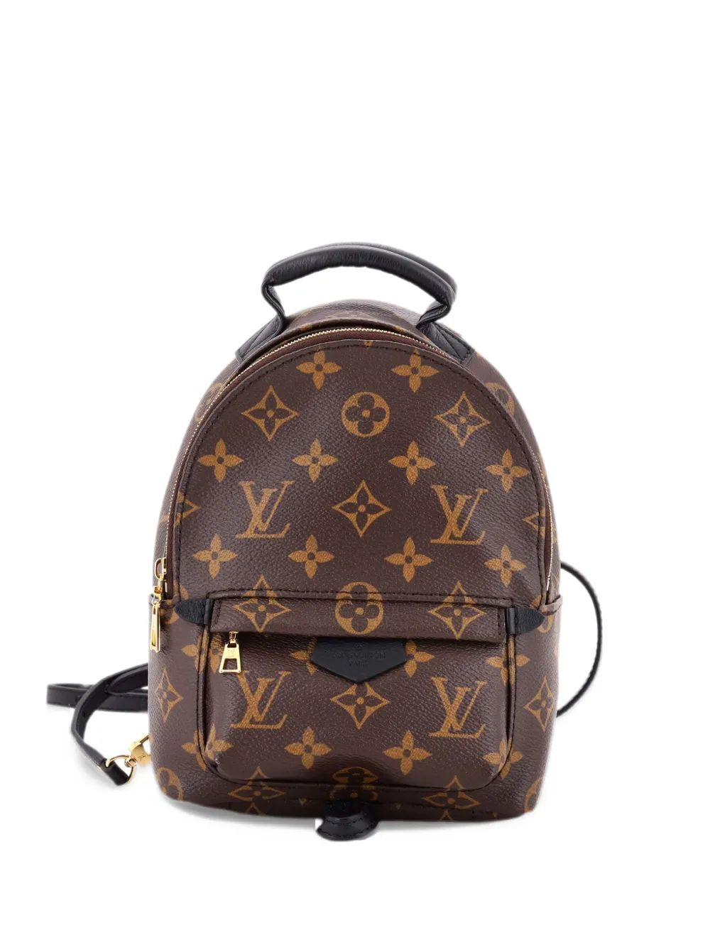 Louis Vuitton Pre-Owned Palm Springs Monogram Canvas Mini backpack - Brown
