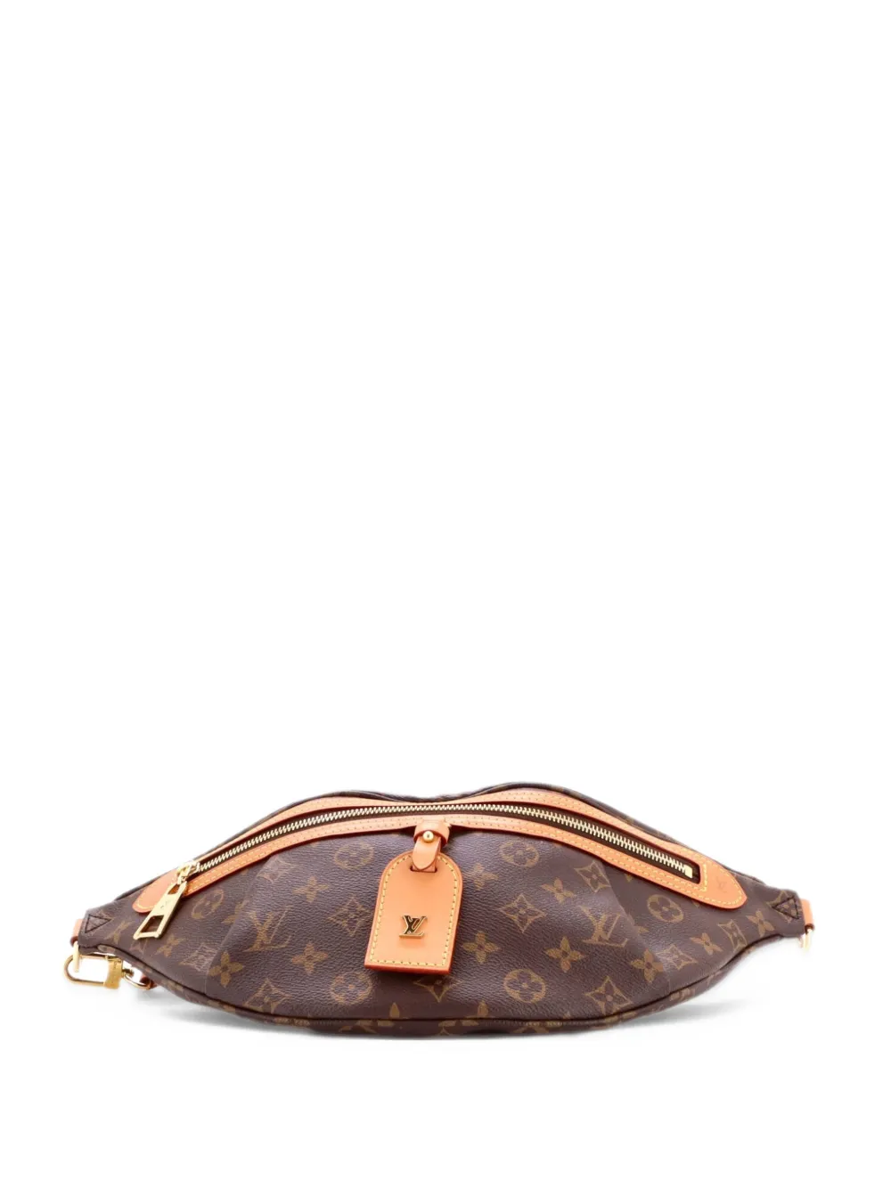 Louis Vuitton Pre-Owned High Rise Bum Bag Monogram Canvas belt bag - Brown