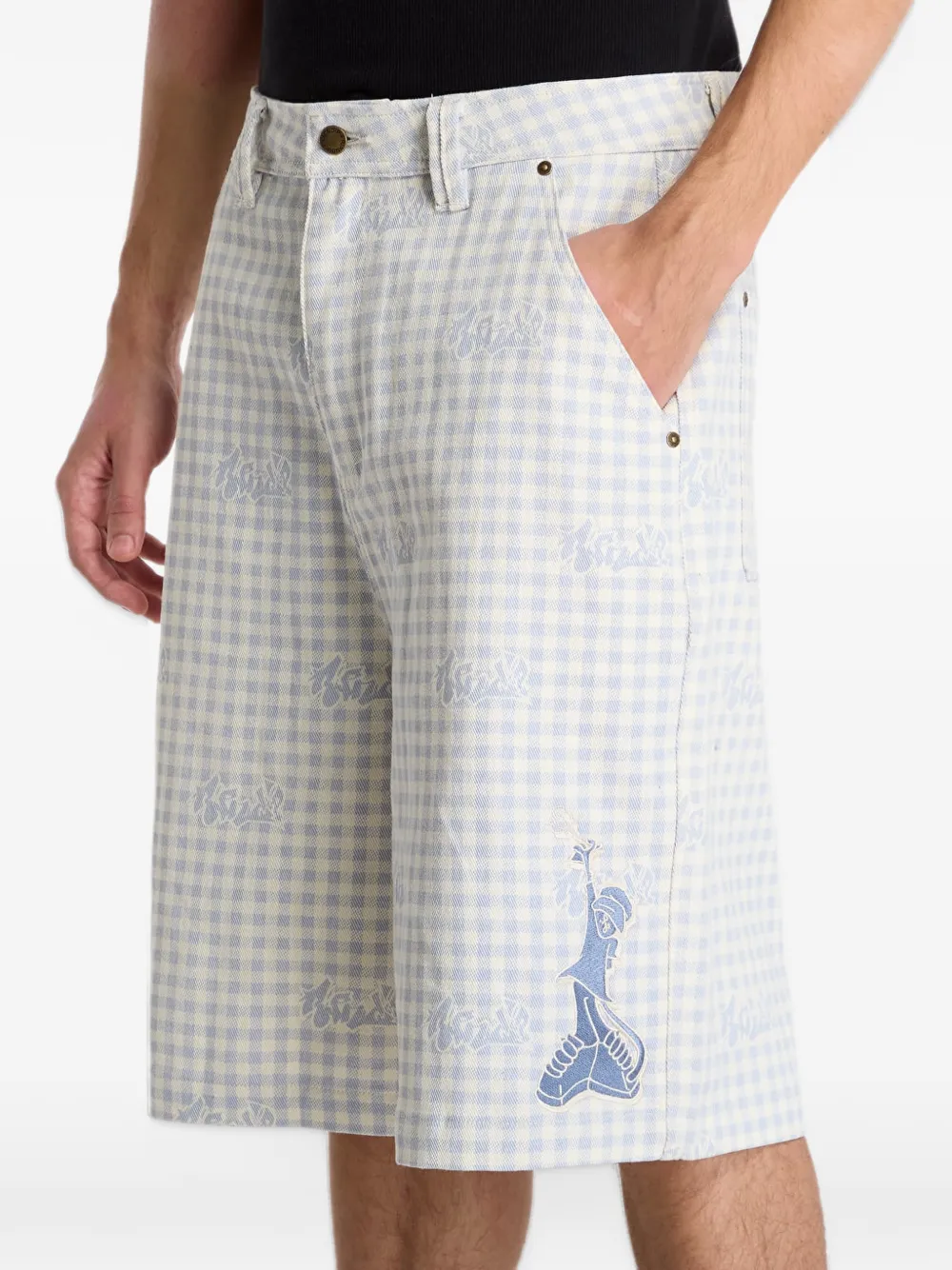 Ripndip Hard In Da Paint gingham-check shorts Blauw