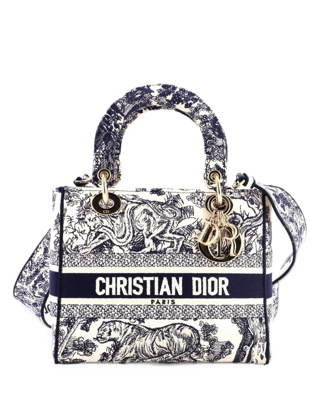 Christian Dior Pre-Owned Lady D-Lite Bag Embroidered Canvas Medium satchel - Blu