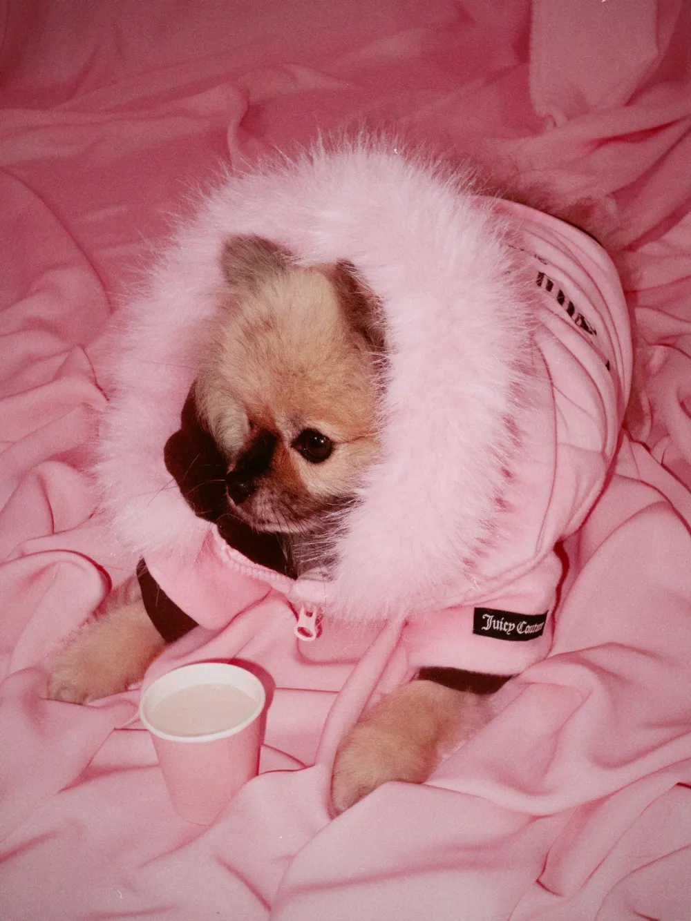 Juicy Couture Fluwelen jack met afwerking van imitatiebont Roze