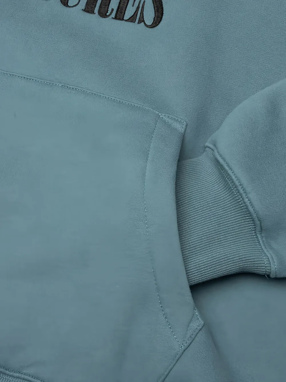 Pleasures Dynamic embroidered hoodie Blauw