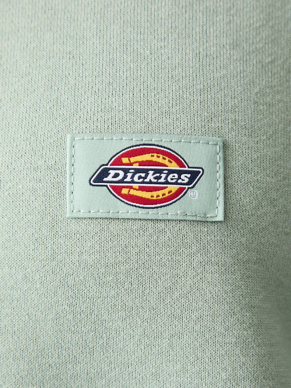DICKIES Hoodie met logopatch Groen