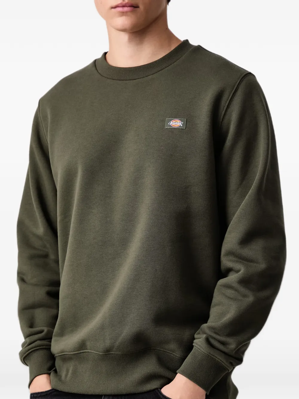 DICKIES Oakport sweater Groen