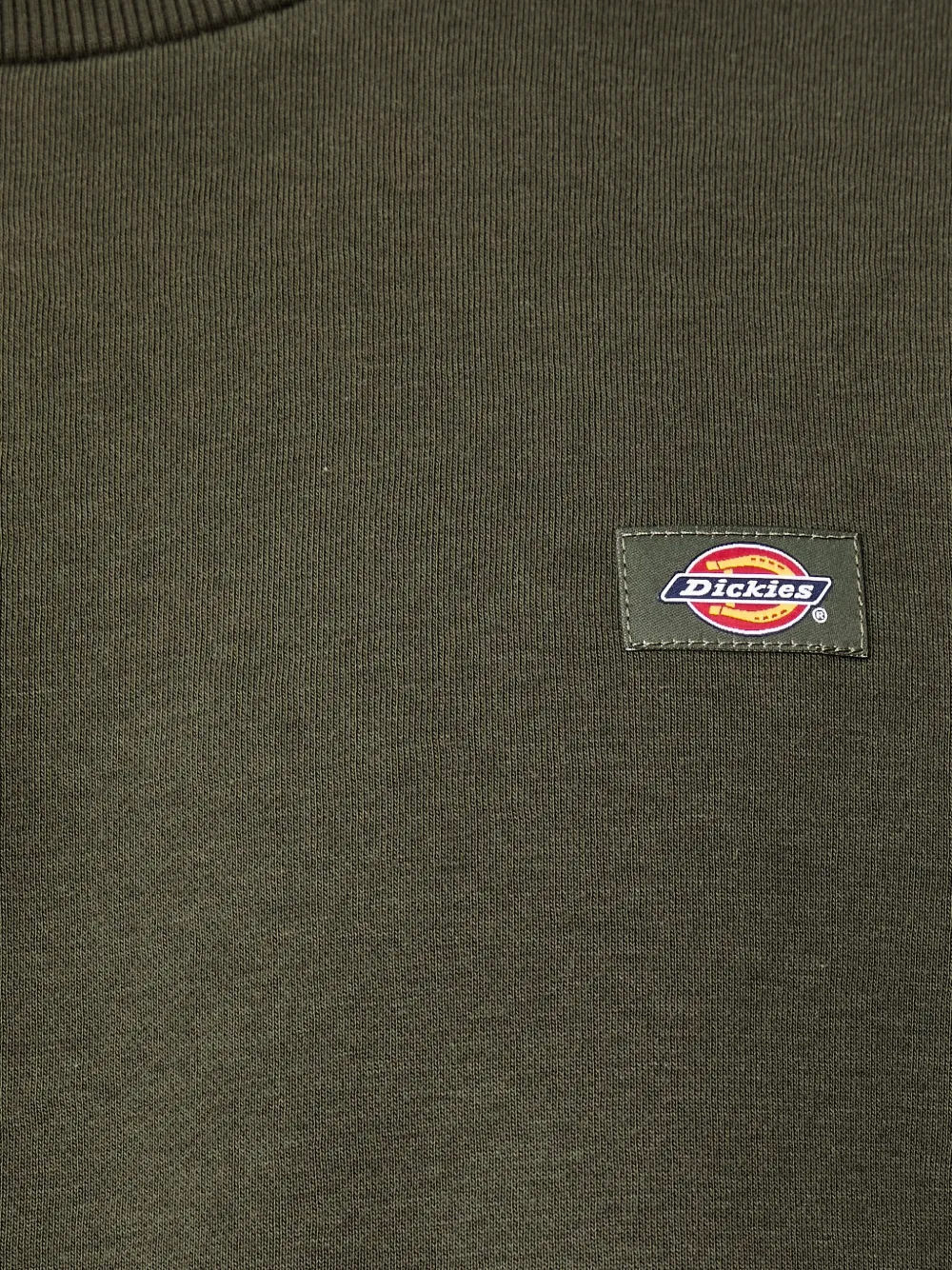 DICKIES Oakport sweater Groen