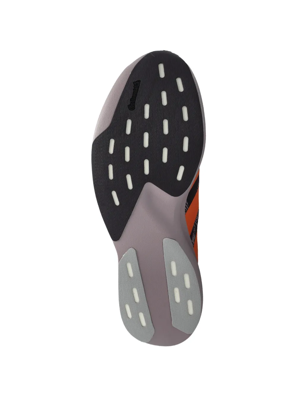 adidas x Labrum London Adizero Evo SL shoes Zwart