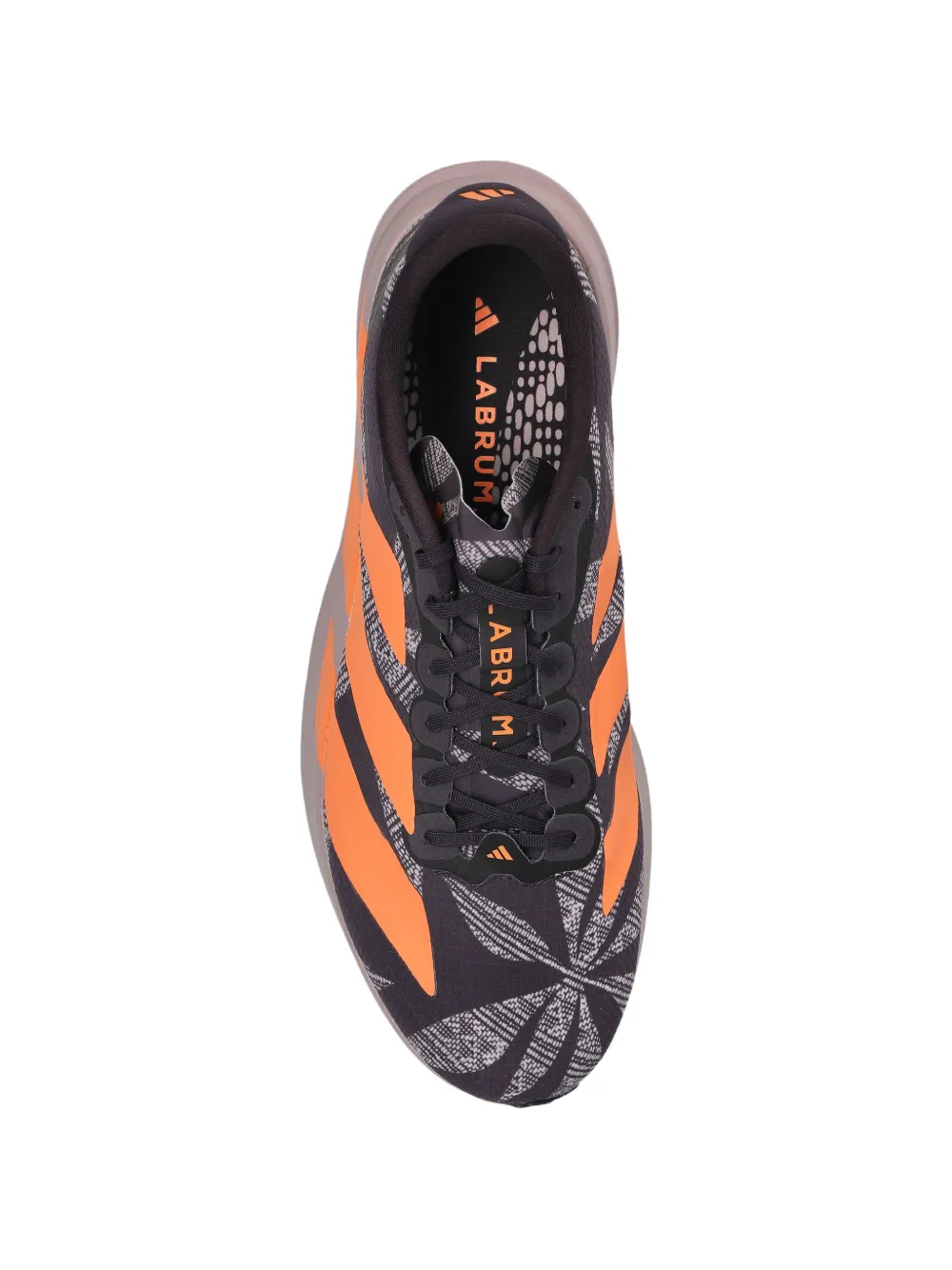 adidas x Labrum London Adizero Evo SL shoes Zwart