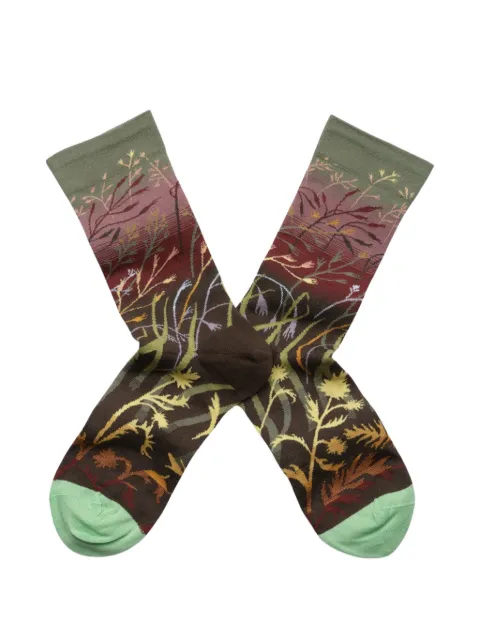 BONNE MAISON The Grasses socks